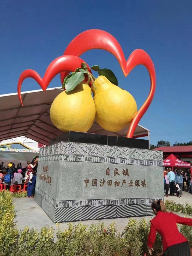 大量批发容县自良优质沙田柚，欢迎到来主产区品尝选购