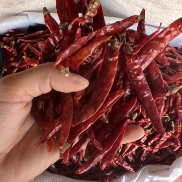 花椒，辣椒，各种香辛料，火锅料原材料，胡椒粉，香料粉