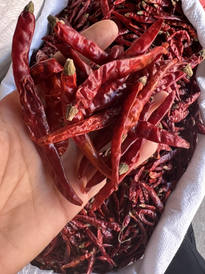 花椒，辣椒，各种香辛料，火锅料原材料，胡椒粉，香料粉