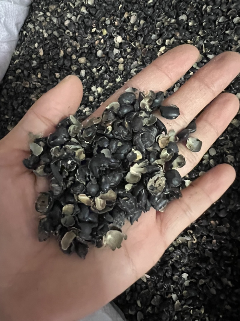 中药材绿豆衣，绿豆皮，黑豆衣，黑豆皮，地道药材，品种齐全