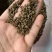中药材绿豆衣，绿豆皮，黑豆衣，黑豆皮，地道药材，品种齐全