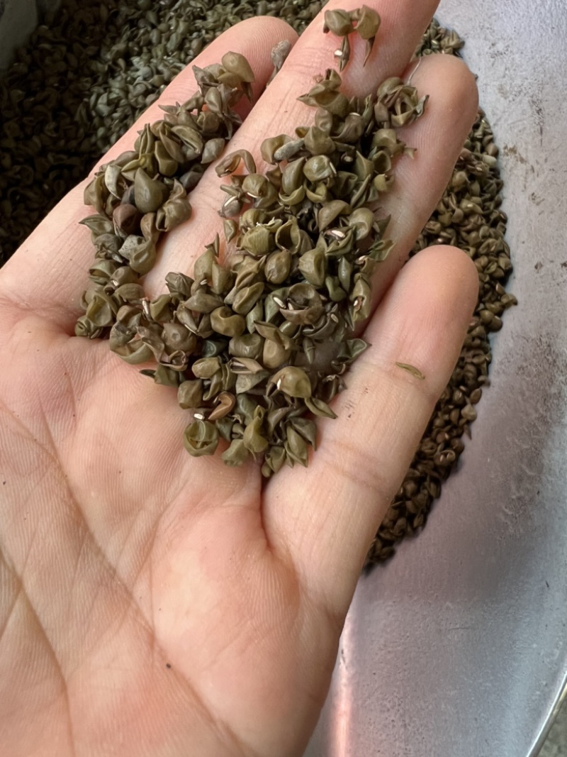 中药材绿豆衣，绿豆皮，黑豆衣，黑豆皮，地道药材，品种齐全