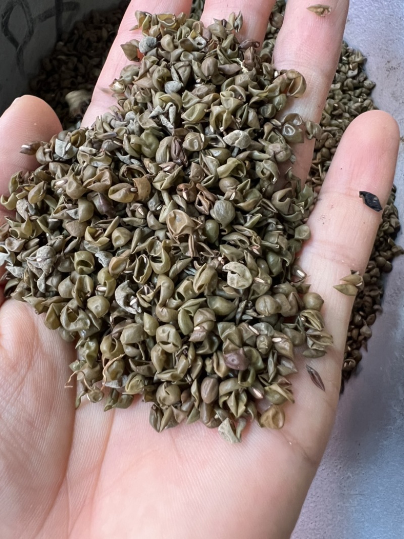 中药材绿豆衣，绿豆皮，黑豆衣，黑豆皮，地道药材，品种齐全