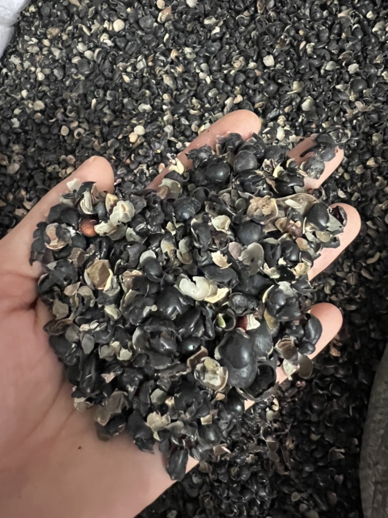 中药材绿豆衣，绿豆皮，黑豆衣，黑豆皮，地道药材，品种齐全