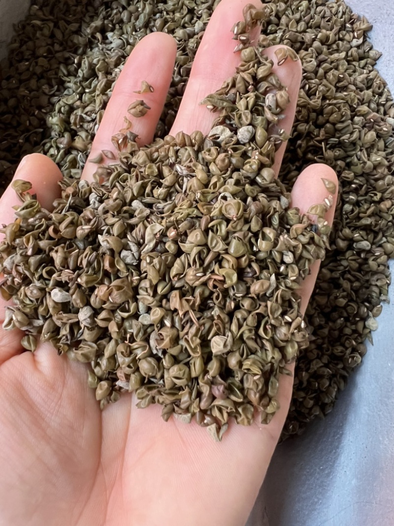 中药材绿豆衣，绿豆皮，黑豆衣，黑豆皮，地道药材，品种齐全