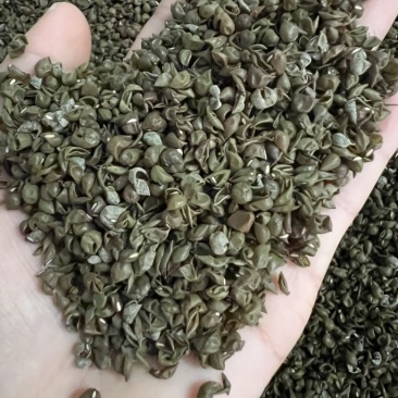 中药材绿豆衣，绿豆皮，黑豆衣，黑豆皮，地道药材，品种齐全