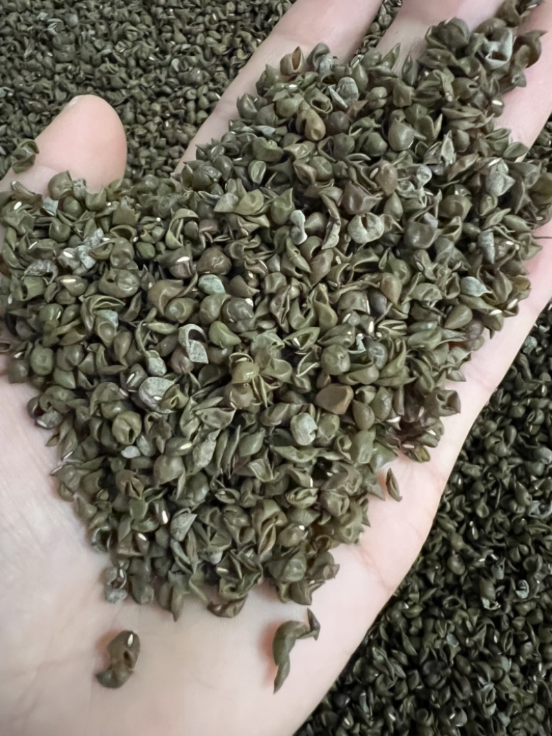 中药材绿豆衣，绿豆皮，黑豆衣，黑豆皮，地道药材，品种齐全