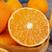 爱媛38果冻橙原产地对接市场支持电商一件代发对接团购