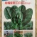 欧兰德川崎8号黑圆叶菠菜种子深绿趴地菠菜春秋露地越冬