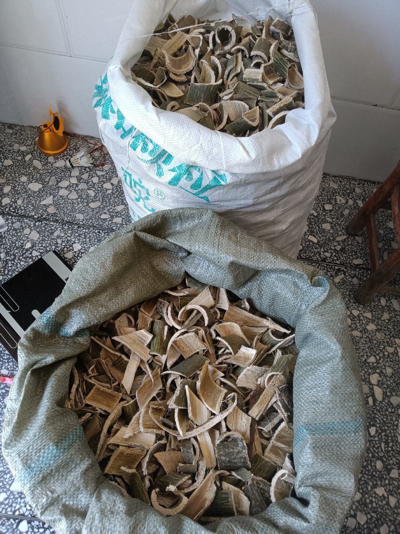 青皮梧桐皮现货现货，老表抓紧时间，随时联系我