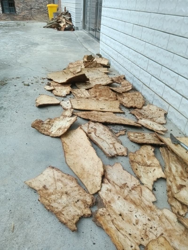 泡桐树皮，新鲜采，新鲜晒，靓货！！需要的朋友老板联系我