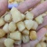 贝干瑶柱，一手货源批发，品质保证，干度好，全国发货包邮