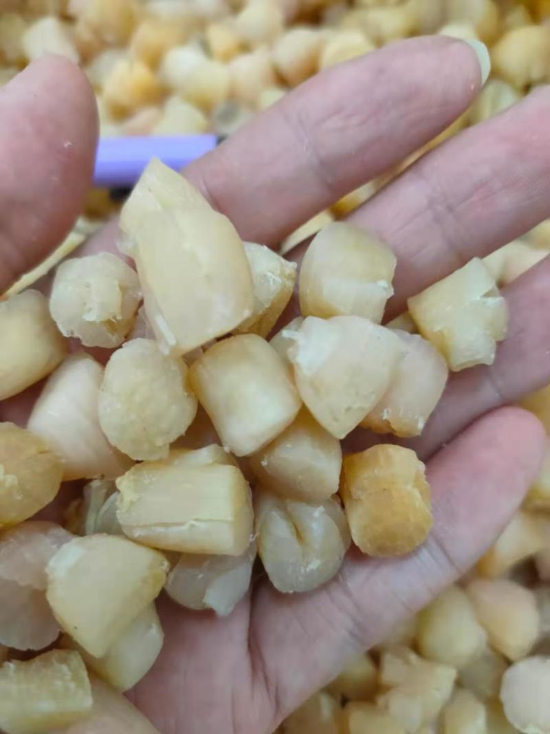 贝干瑶柱，一手货源批发，品质保证，干度好，全国发货包邮