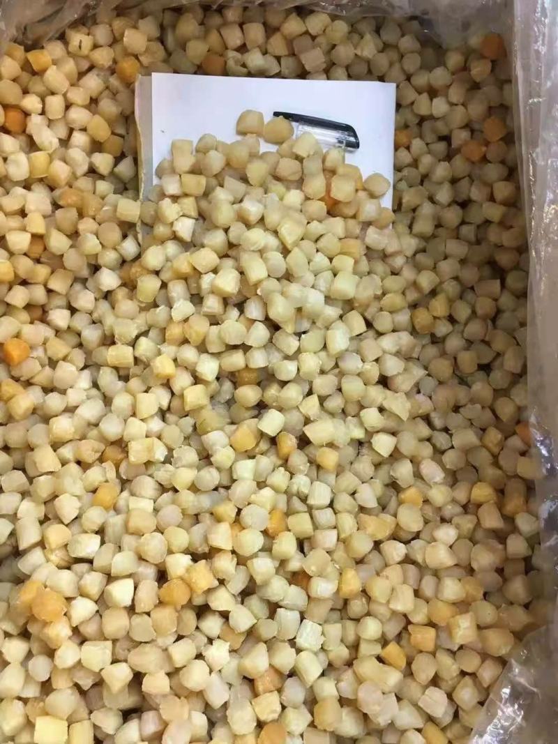 贝干瑶柱，一手货源批发，品质保证，干度好，全国发货包邮
