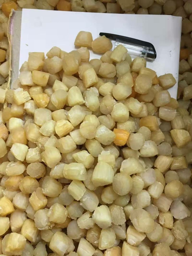 贝干瑶柱，一手货源批发，品质保证，干度好，全国发货包邮