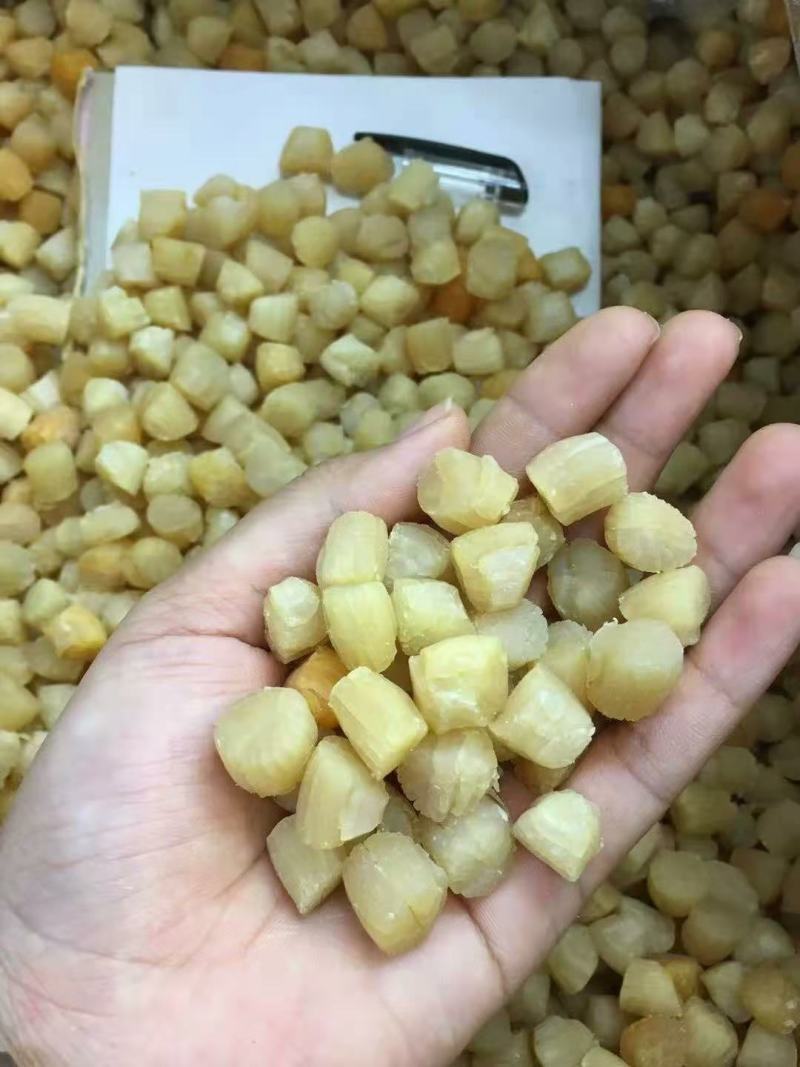 贝干瑶柱，一手货源批发，品质保证，干度好，全国发货包邮