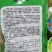 多年生黑麦草种子耐寒牧草种子四季长青养殖猪牛羊鸡鸭鹅鱼草