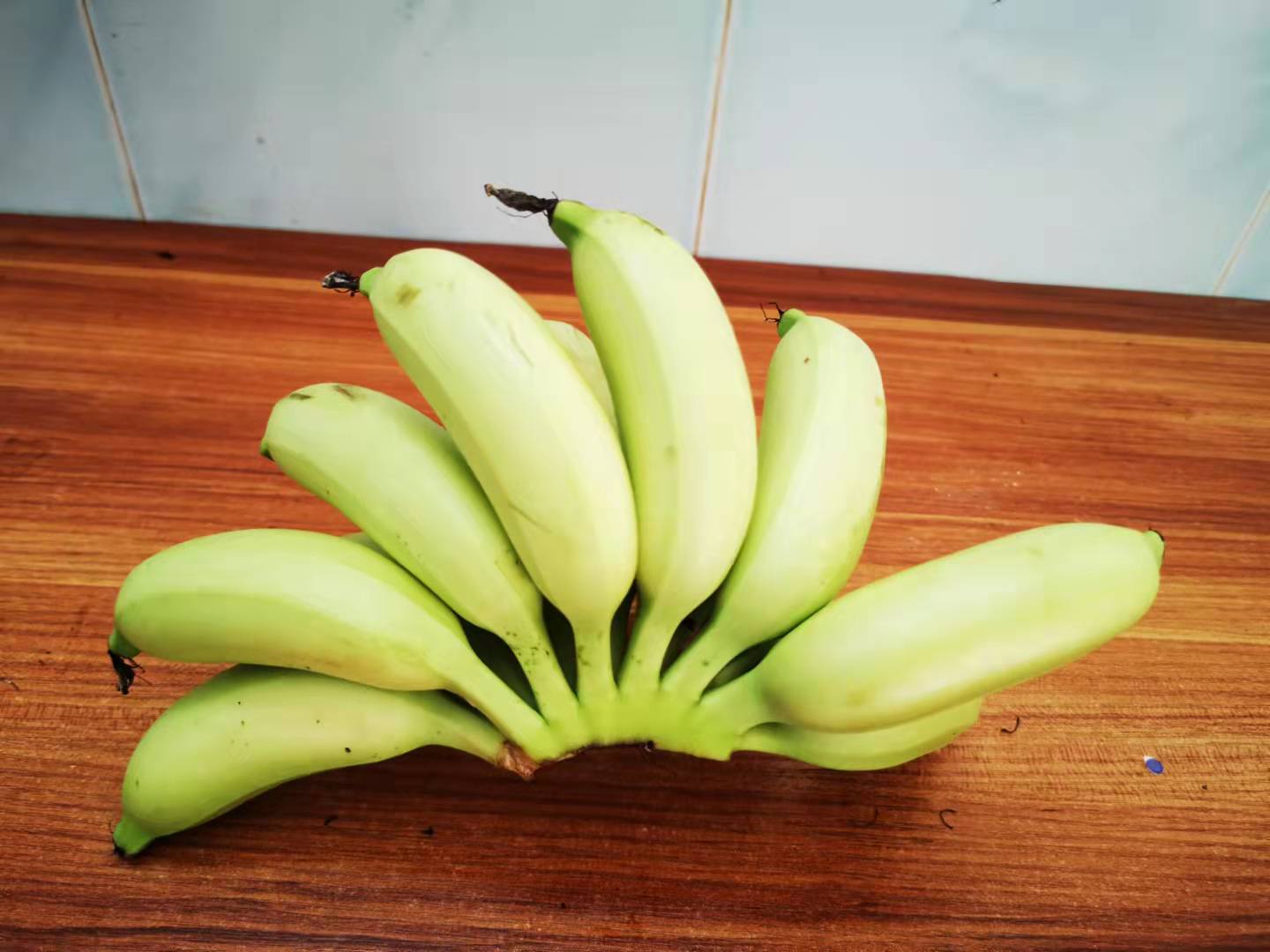 香蕉成熟度触感检测实景:高清微距视角展示手指按压测试动作,皮肤与香蕉表皮形成柔和光影对比;果皮呈现典型‘黄金带点’状态,斑点大小均匀如芝麻,边缘略晕染,表皮蜡质层在侧光下泛珍珠光泽,体现糖分高峰与细胞壁适度软化的完美平衡 特写镜头:一只手正用拇指轻按一根中等成熟度香蕉的中段,果皮呈明亮鹅黄色,分布5–8颗清晰红褐色小圆斑,按压处微微凹陷后迅速回弹;背景虚化,焦点精准落在果皮纹理与指尖接触区域