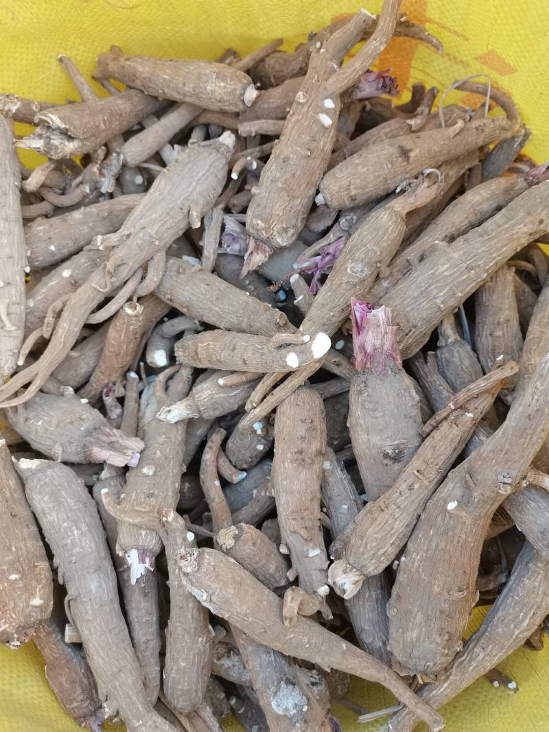 山东白芷，含硫无硫白芷各种规格都有。。。