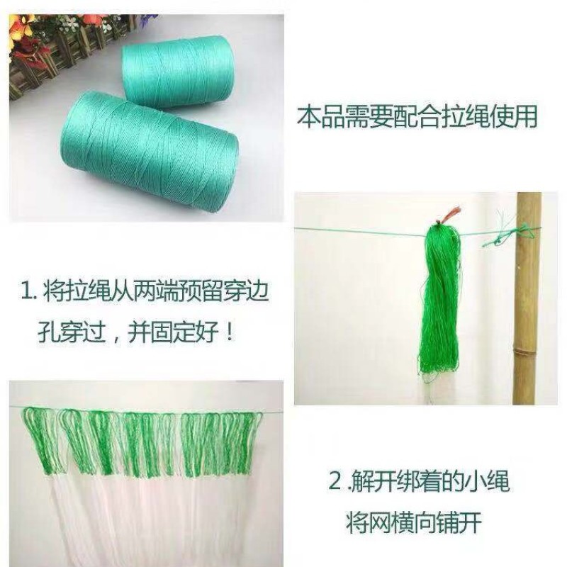【豆角专用爬藤网】荷兰豆豌豆长豆角扁豆四季豆种植网攀爬网