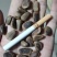 开口松子黄皮黑皮开口松子