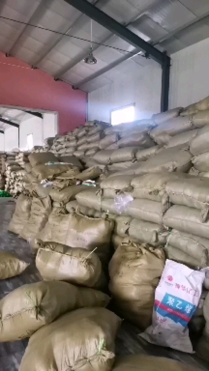 加粗12股爬藤网小西瓜网南瓜网种植网农业网攀爬网爬藤网