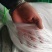 加粗12股爬藤网小西瓜网南瓜网种植网农业网攀爬网爬藤网