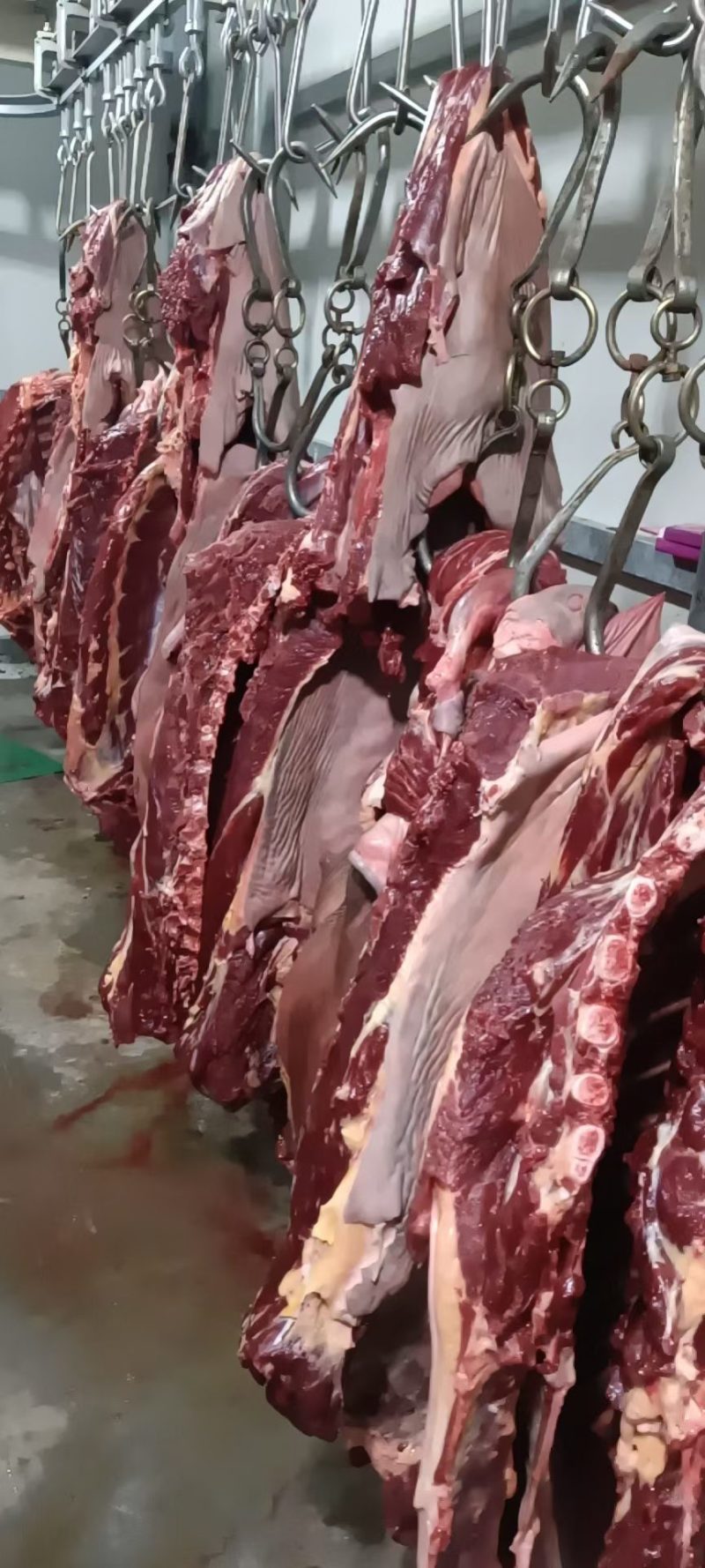 马肉，带皮现杀鲜马肉，不注水，养殖场一首货源，扒皮带皮