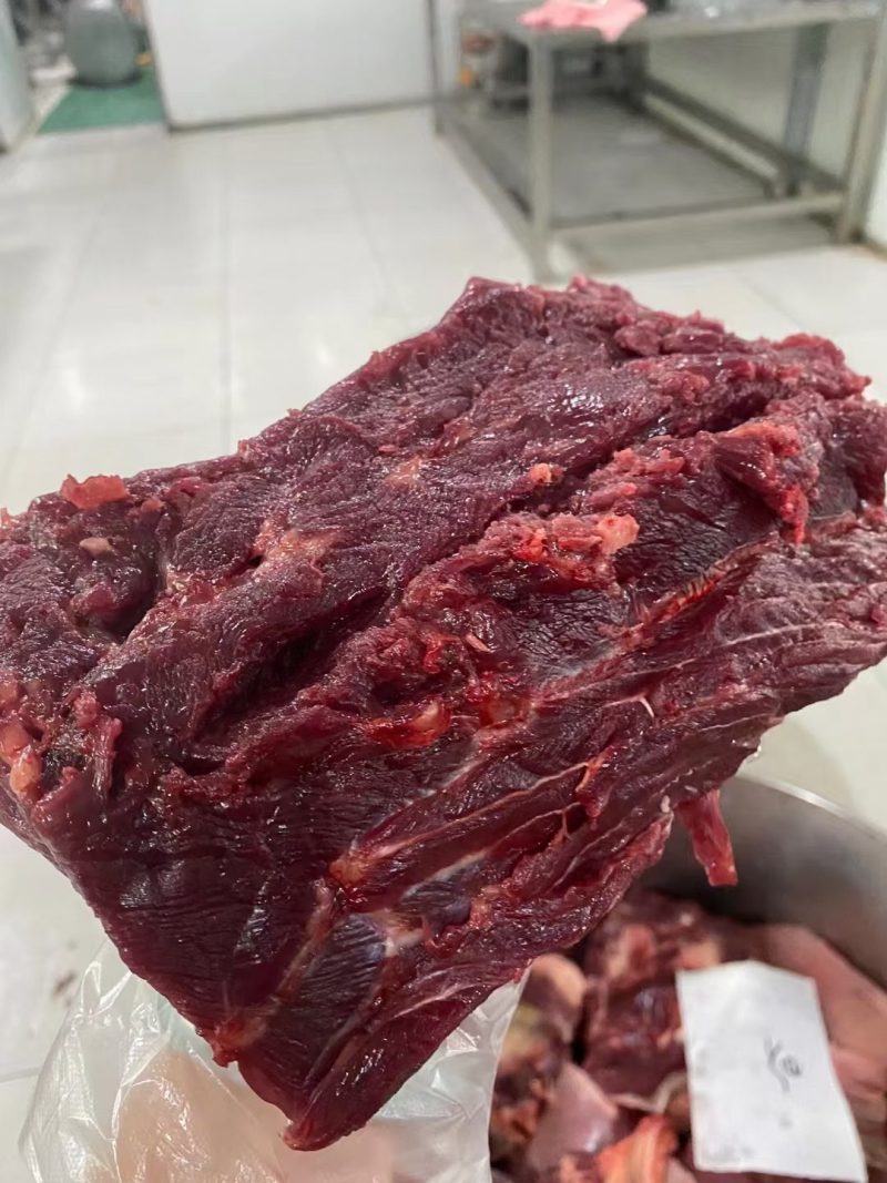 马肉，带皮现杀鲜马肉，不注水，养殖场一首货源，扒皮带皮