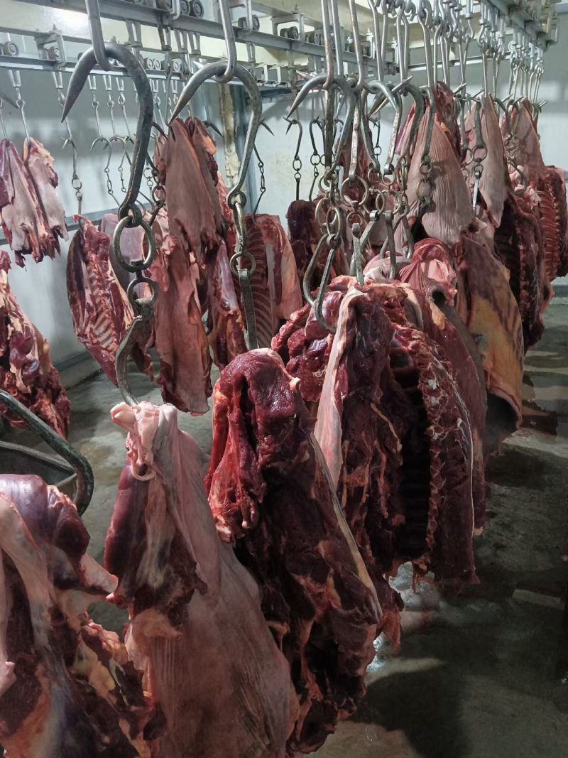 马肉，带皮现杀鲜马肉，不注水，养殖场一首货源，扒皮带皮