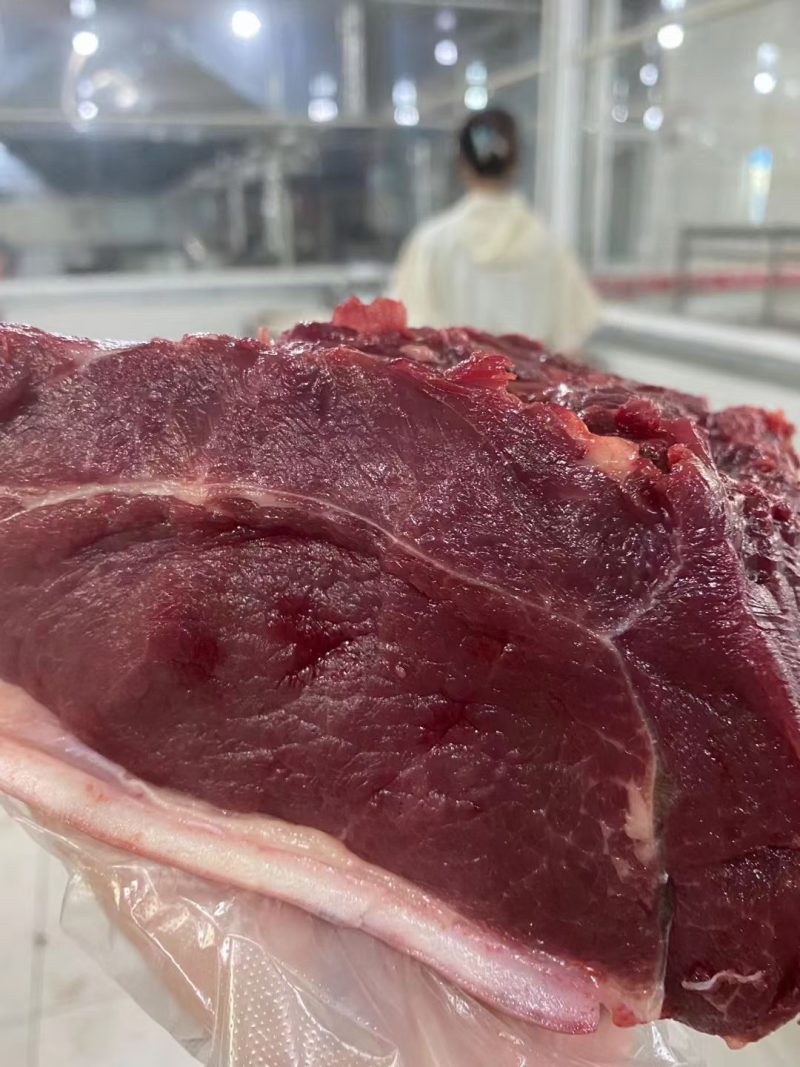 马肉，带皮现杀鲜马肉，不注水，养殖场一首货源，扒皮带皮