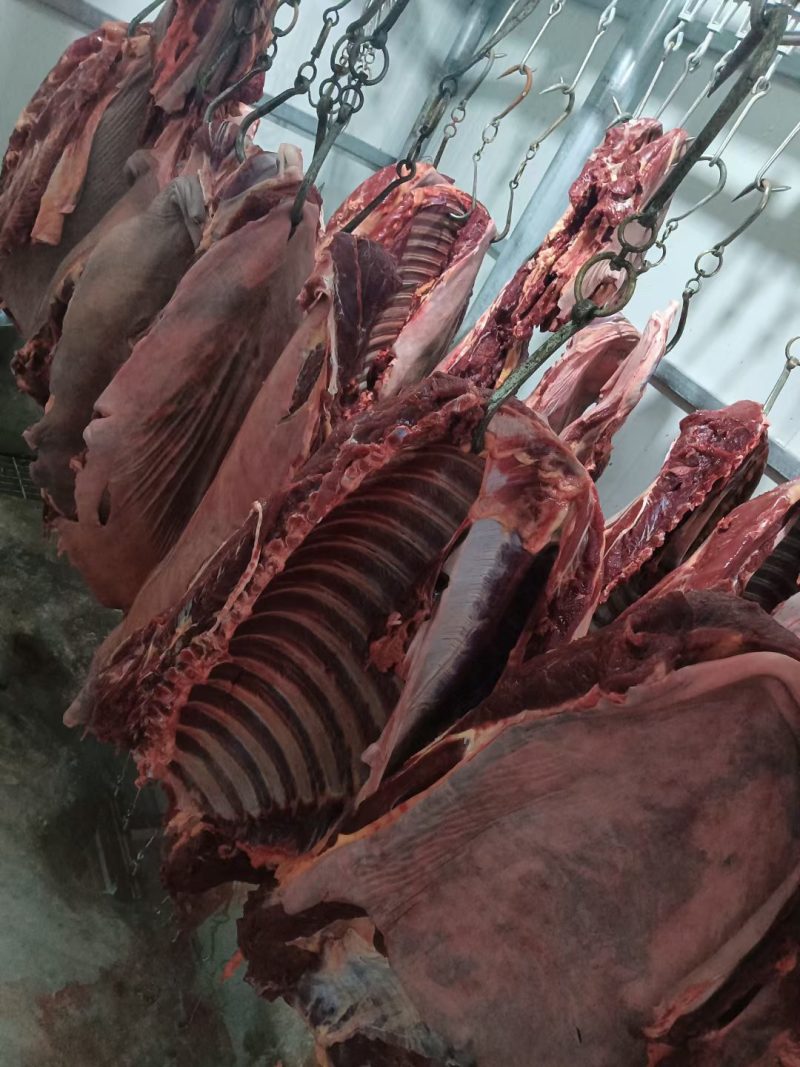 马肉，带皮现杀鲜马肉，不注水，养殖场一首货源，扒皮带皮