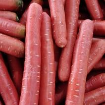 大荔水果红萝卜，小袋5斤装，10斤，28斤，50斤，散货