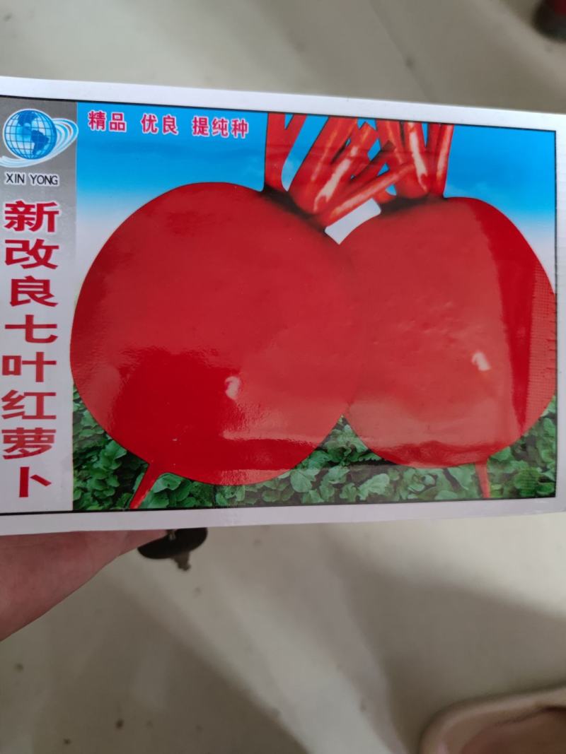 圆红萝卜种子，肉质根圆形,外皮薄而鲜红,质白色细嫩多汁,