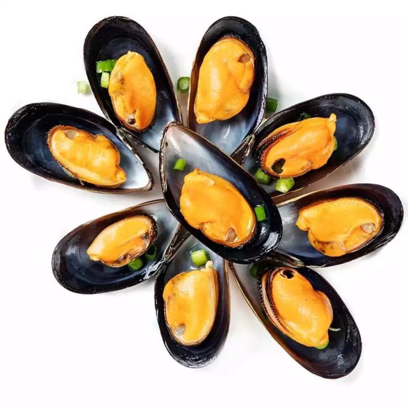 当天捕捞鲜活新鲜无沙大海虹贻贝青口贝当季鲜活淡菜