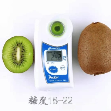 2022年有机猕猴桃