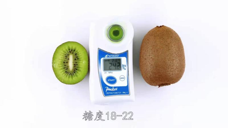 2022年有机猕猴桃