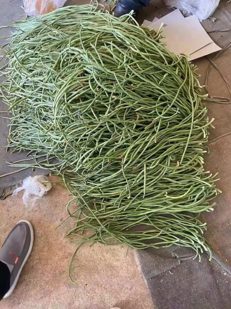 产地直发，超市专供，全国发货，精品长豇豆。