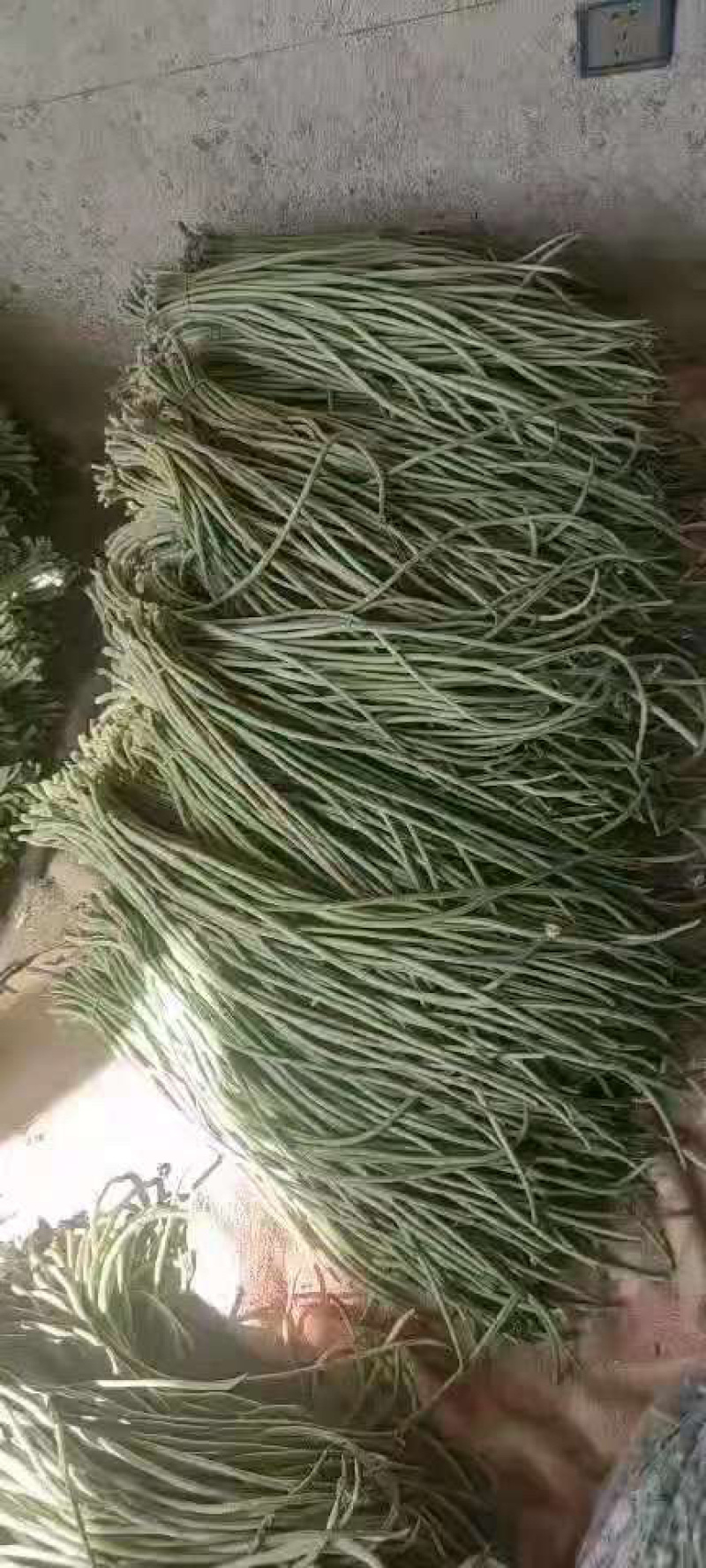 产地直发，超市专供，全国发货，精品长豇豆。