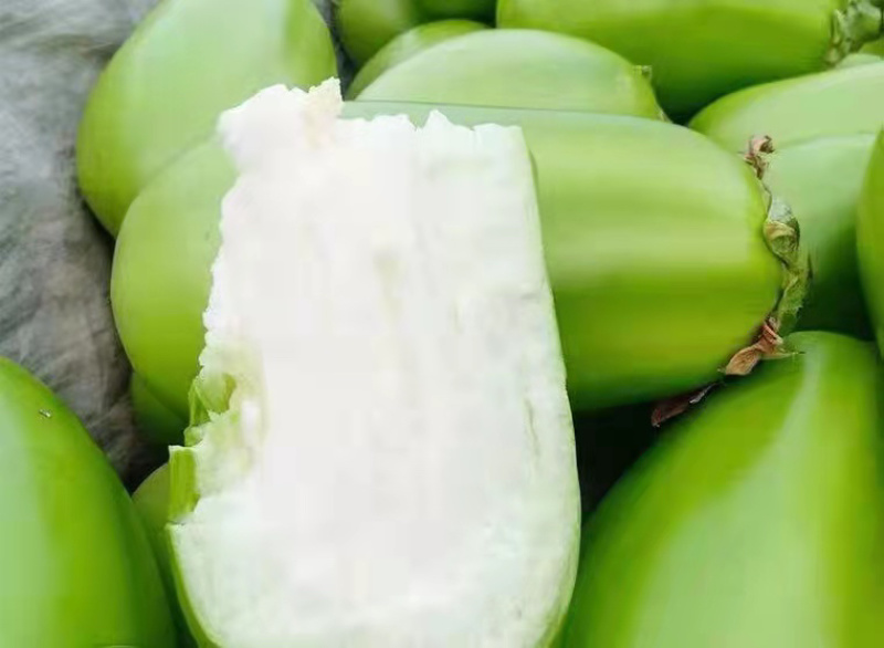 精品茄子，诚信代办，产地直发，物美价廉。