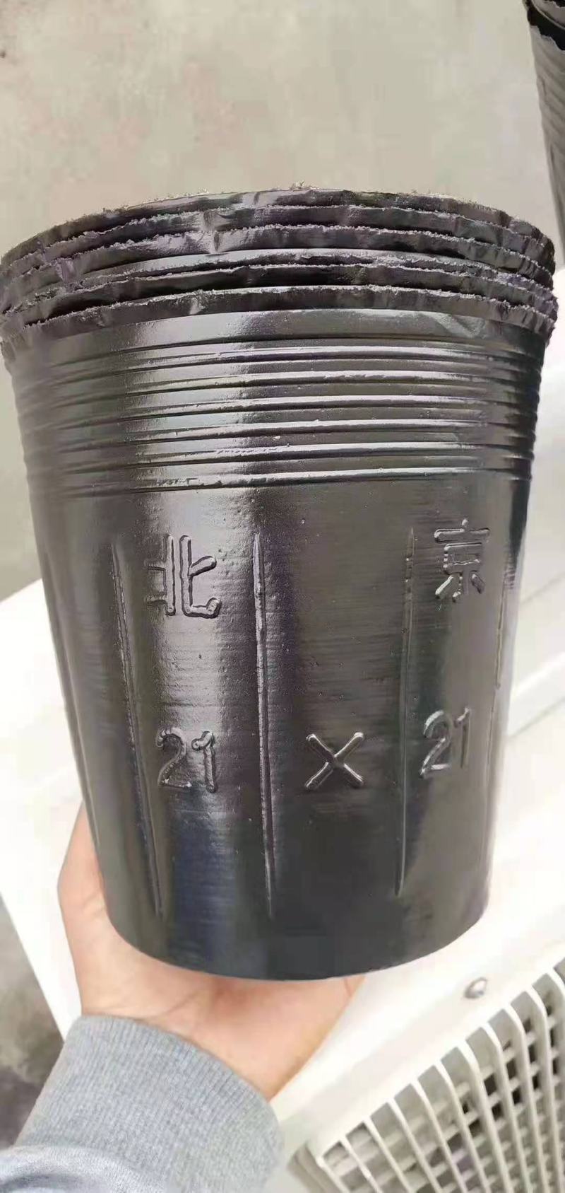 营养杯