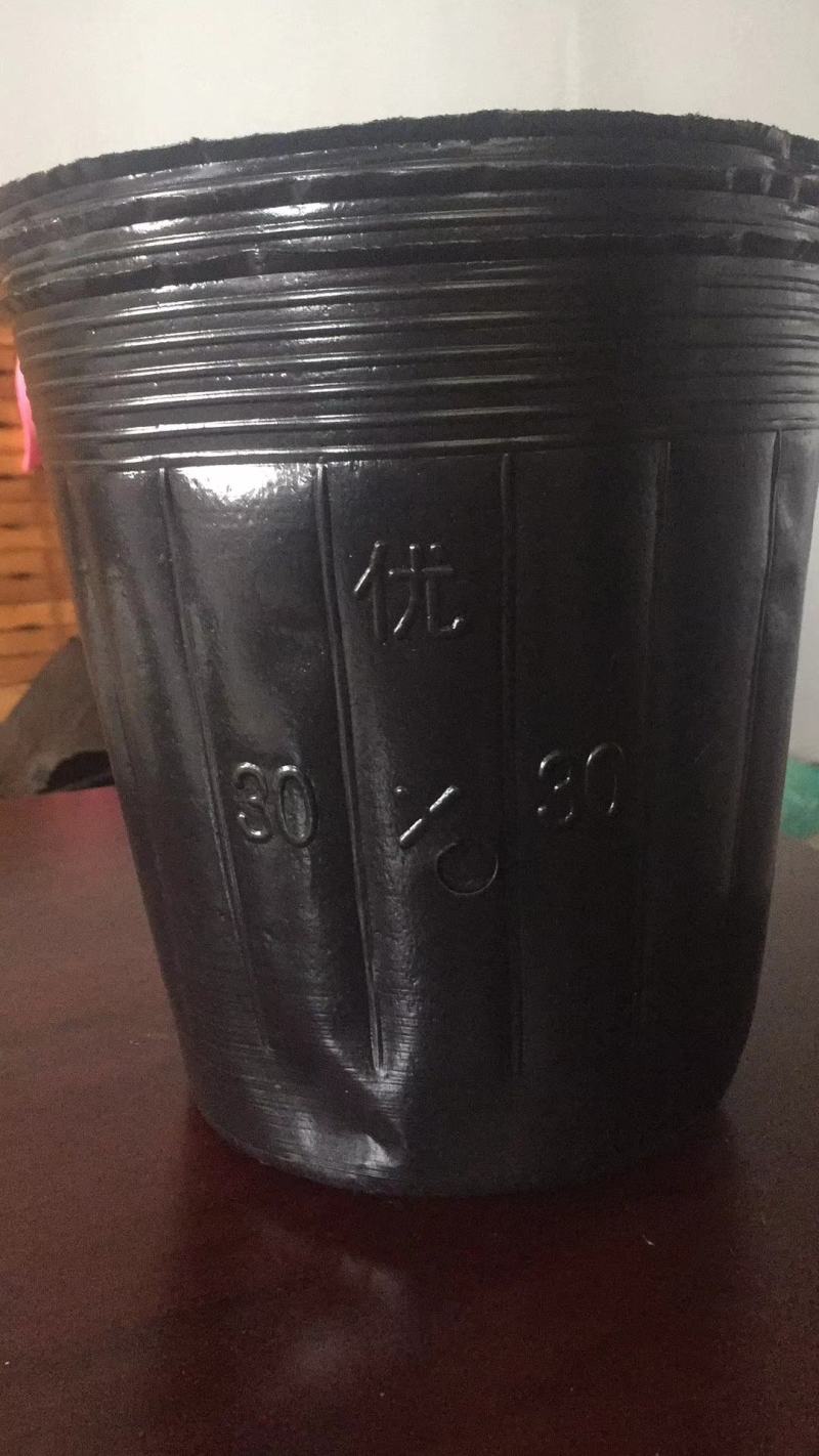 营养杯