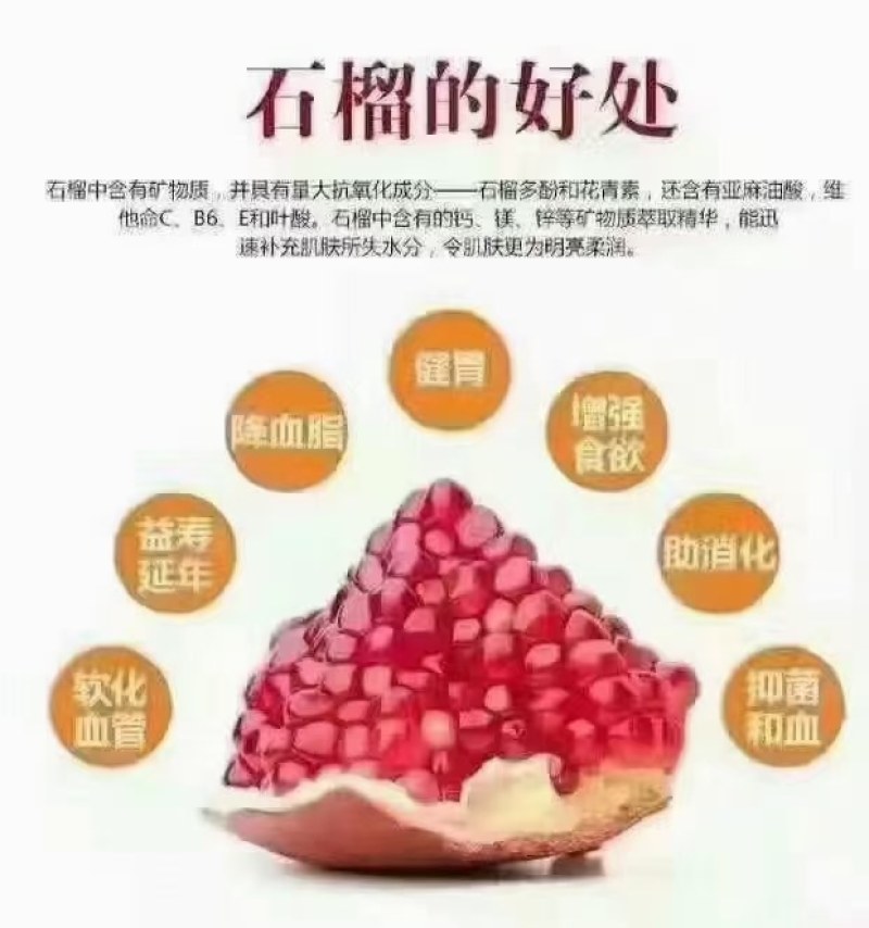 临潼石榴中果礼盒装红心超甜12枚装一件代发