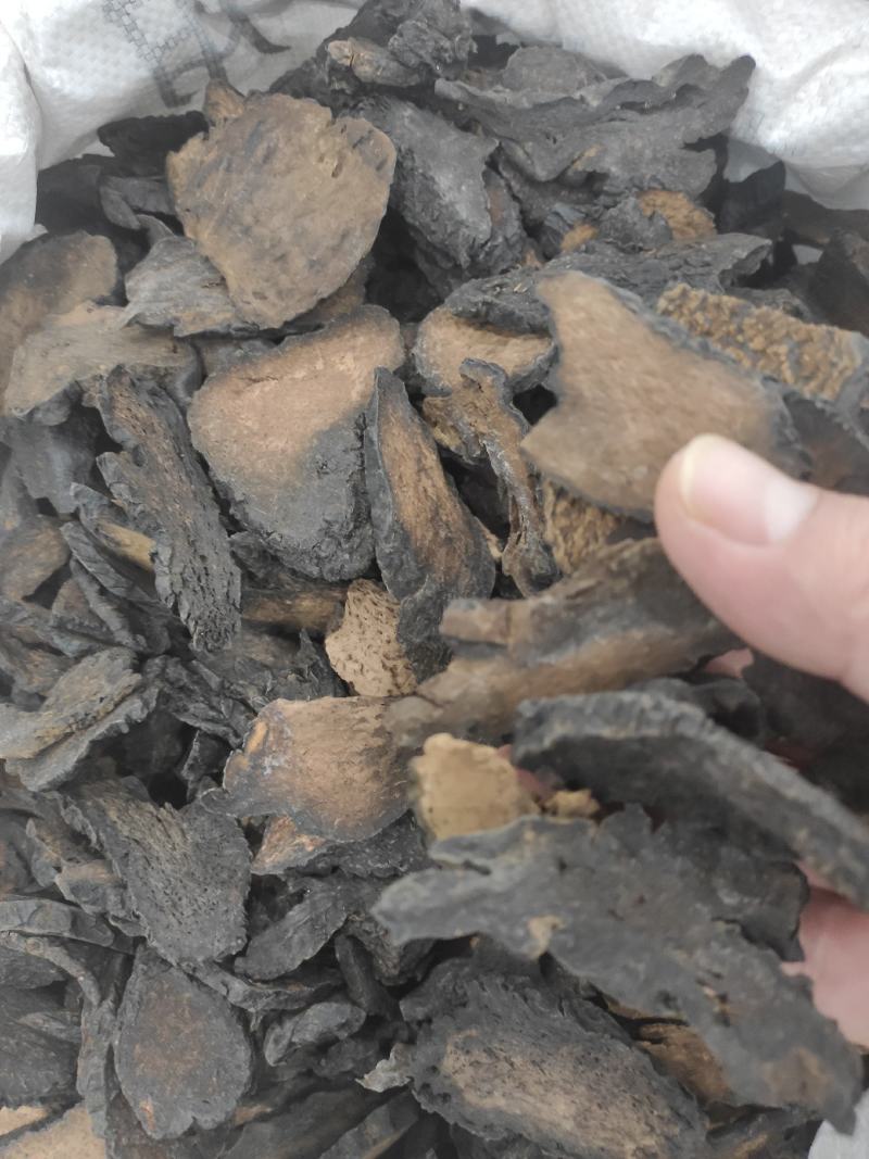 肉苁蓉大芸片量大从优欢迎选购！