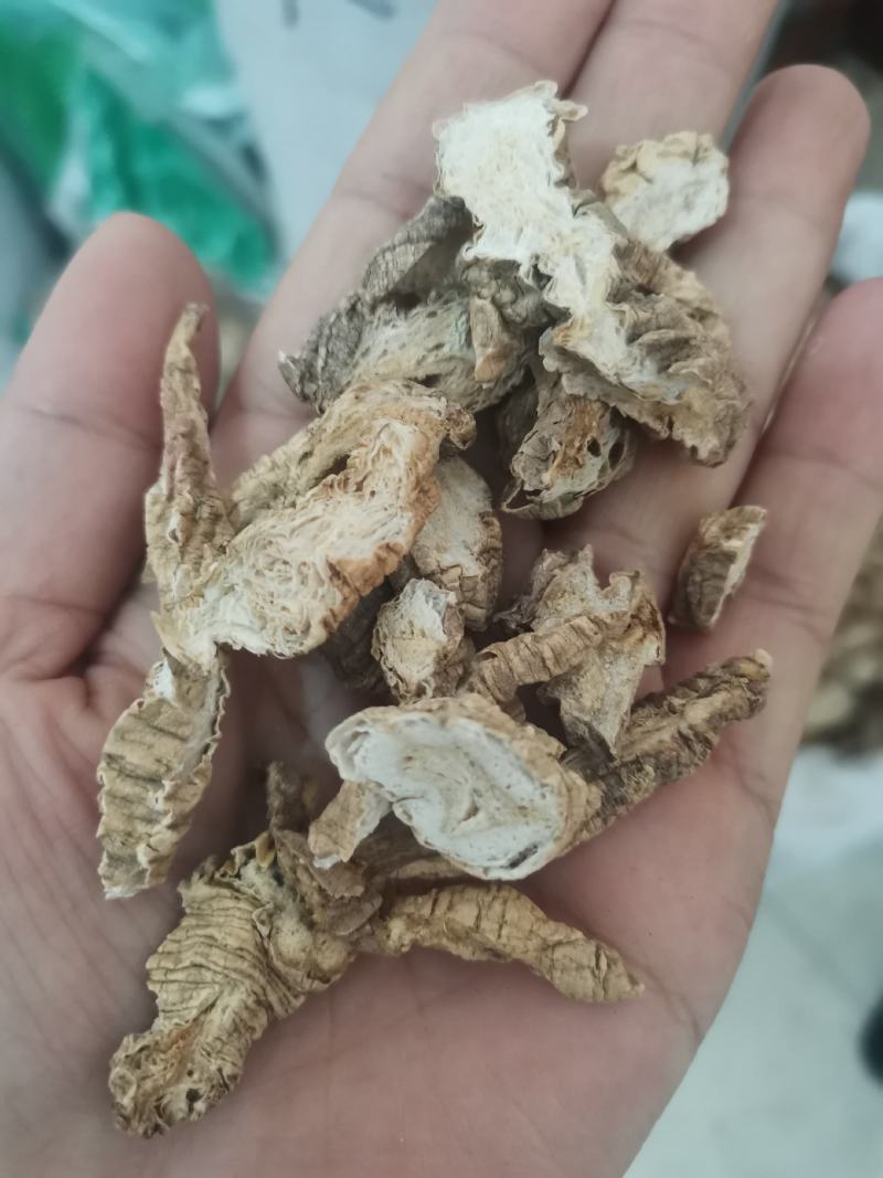 南沙参泡参正品新货干品干净无杂