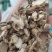 南沙参泡参正品新货干品干净无杂