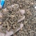 茜草干货各种规格量大从优