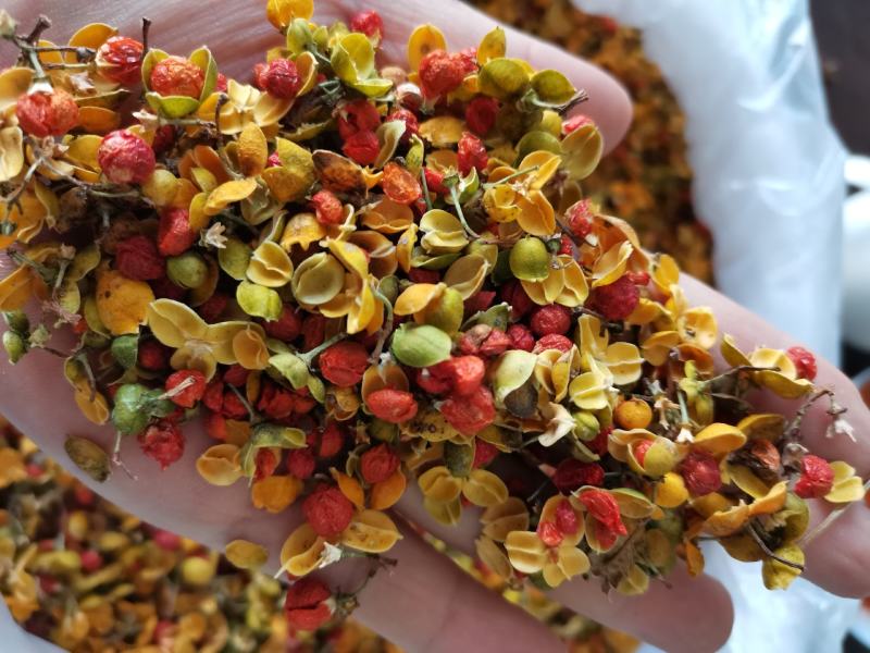 合欢花东北泡茶药用新鲜干货实拍图一公斤起发货