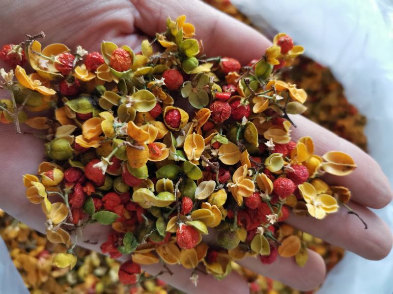 合欢花东北泡茶药用新鲜干货实拍图一公斤起发货