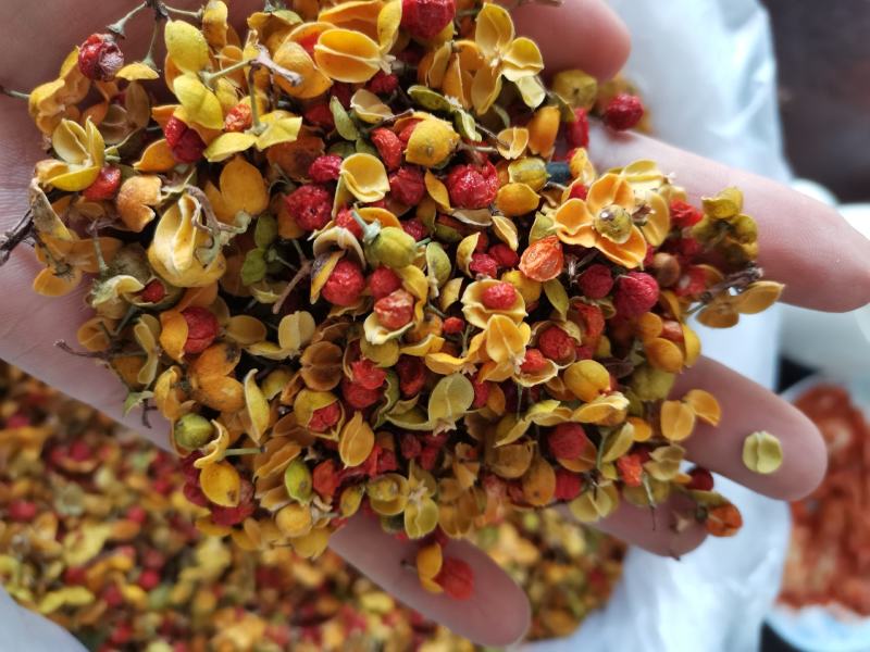 合欢花东北泡茶药用新鲜干货实拍图一公斤起发货